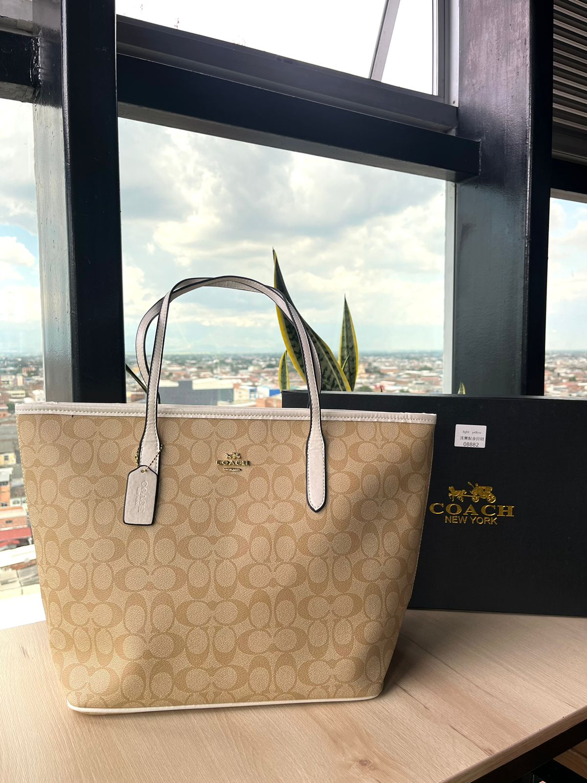 Bolso Neverfull Coach 1:1