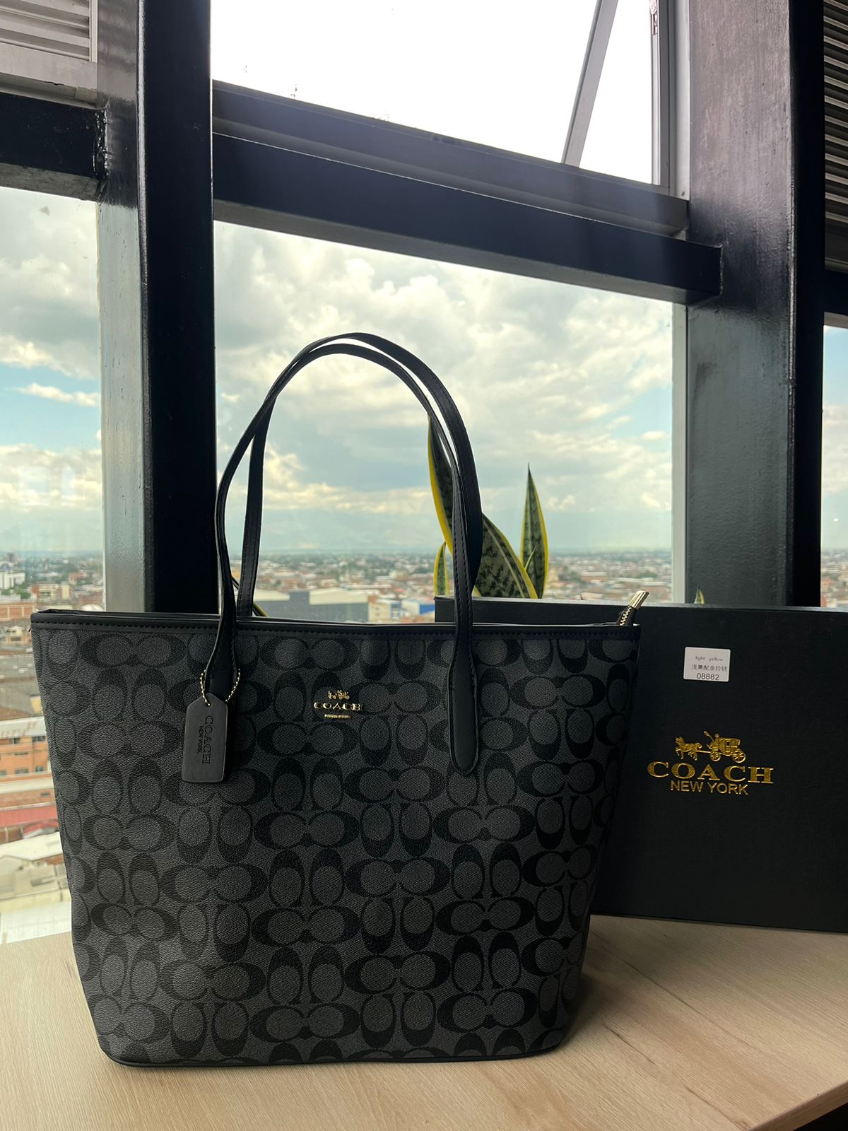 Bolso Neverfull Coach 1:1