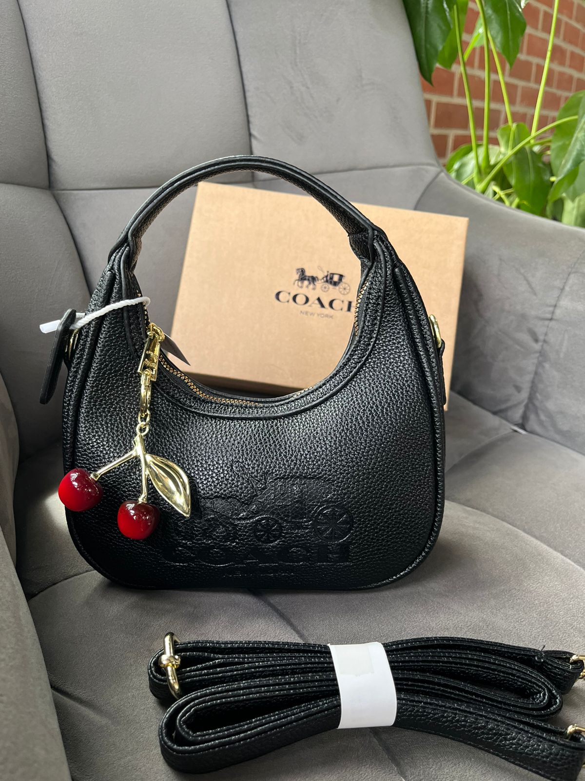 Media Luna Coach