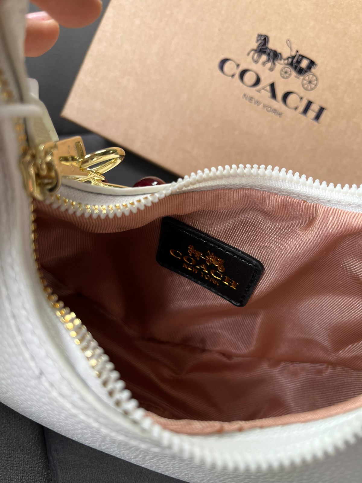 Media Luna Coach