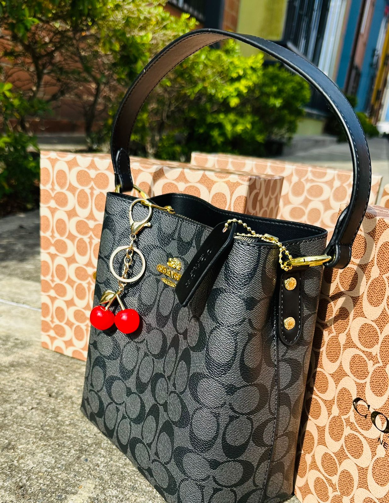Tula Coach En caja y funda
