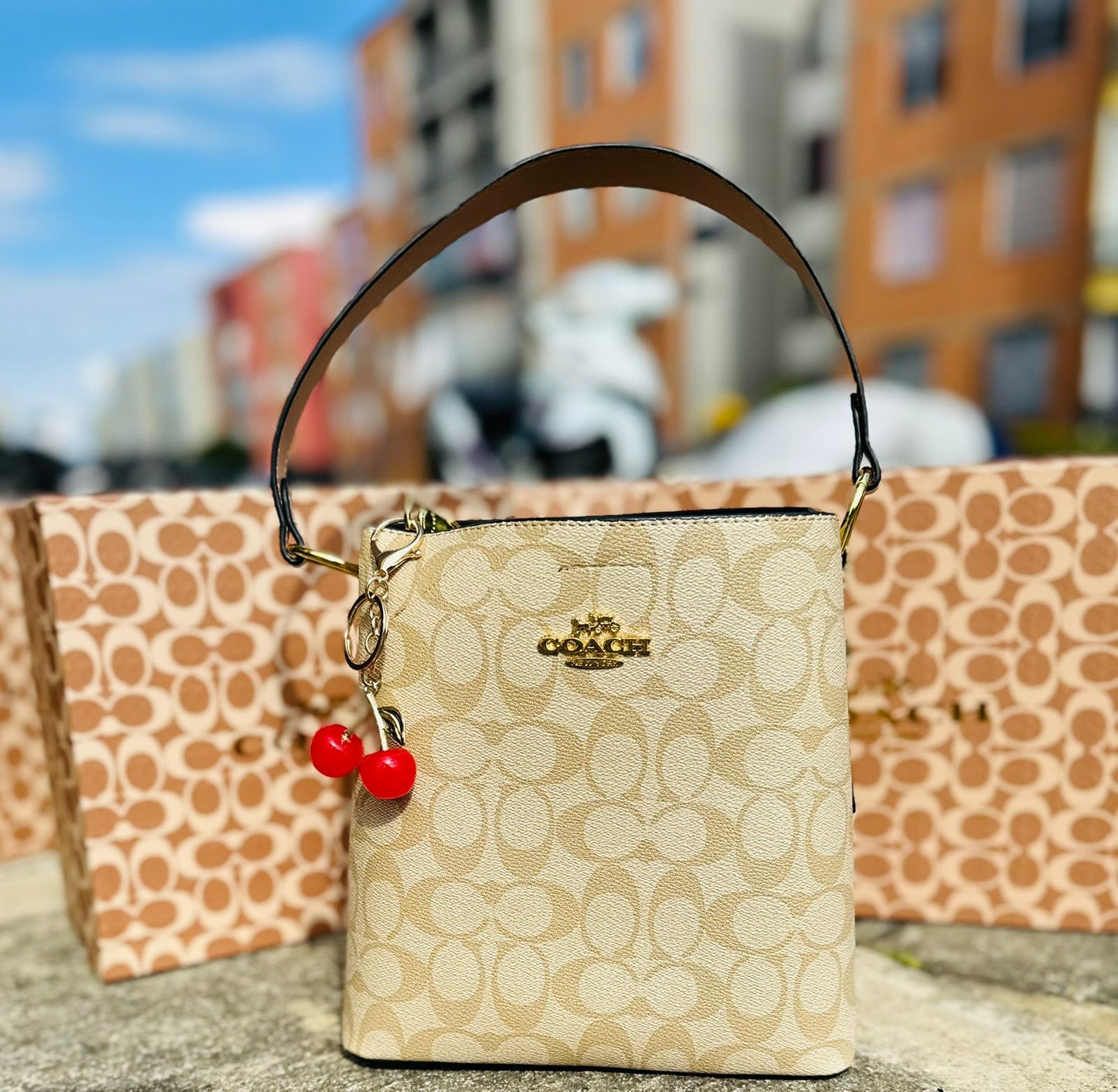 Tula Coach En caja y funda