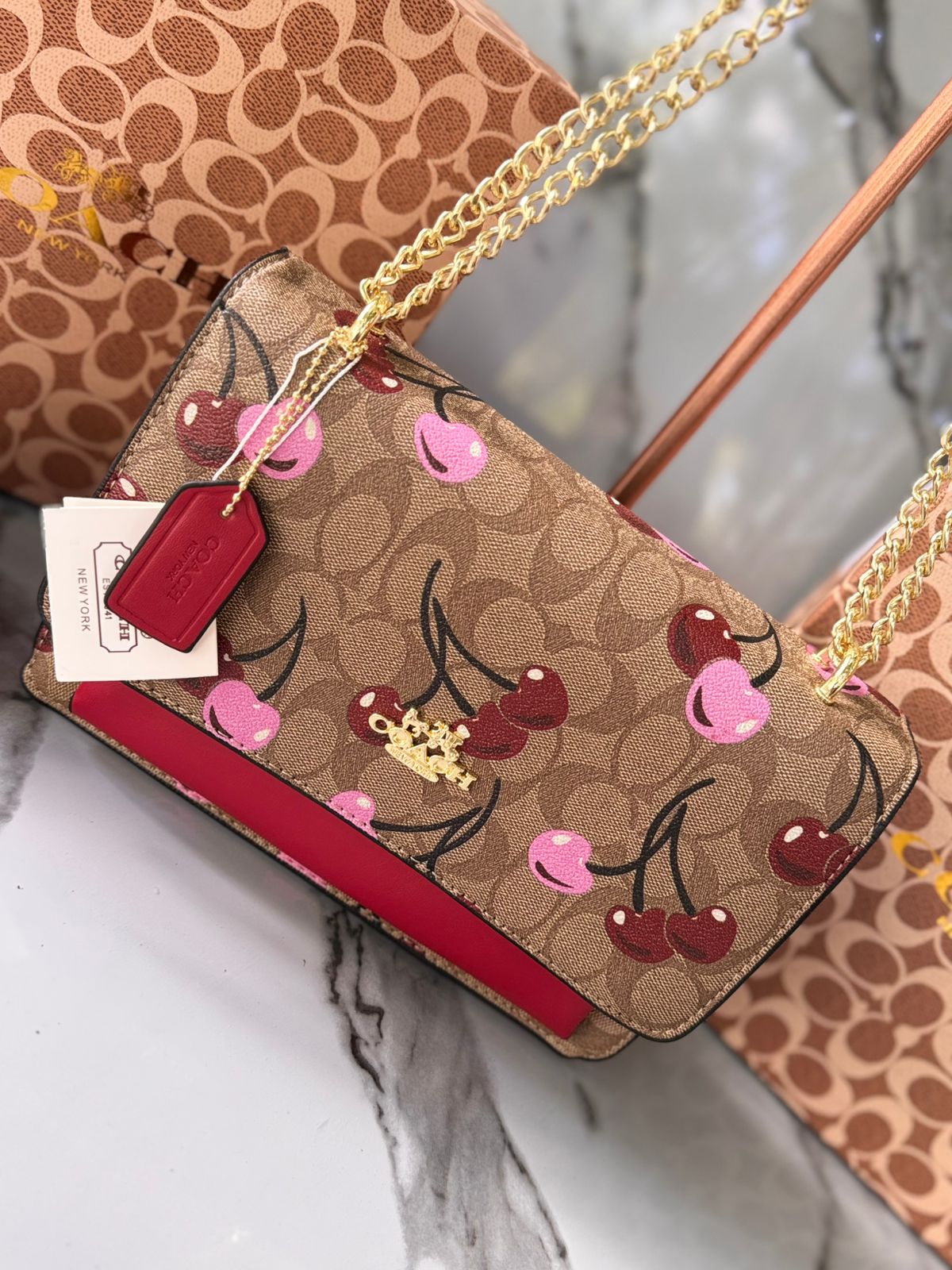 Bolso Coach con Bolsa y Tula 1:1