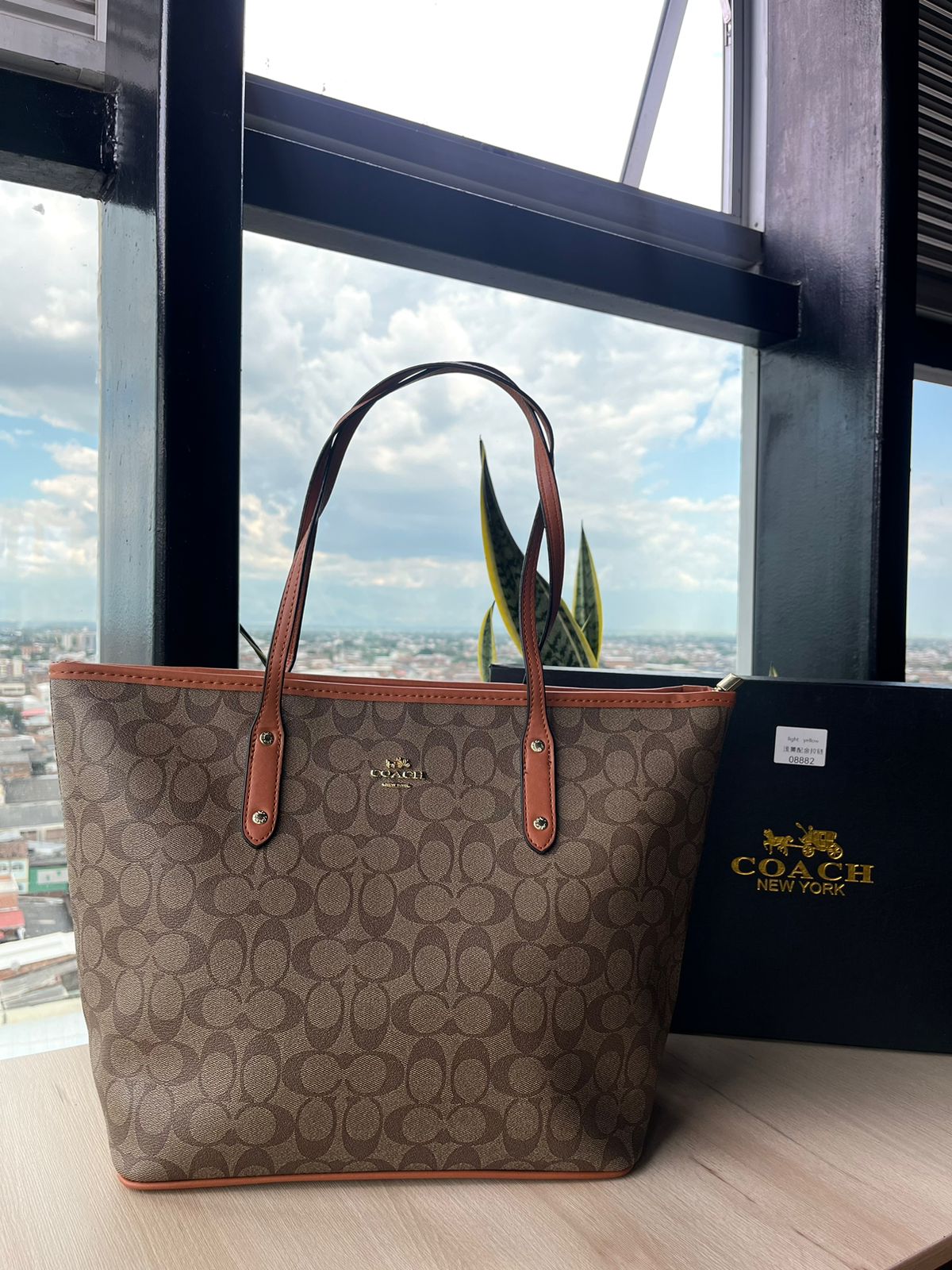 Bolso Neverfull Coach 1:1