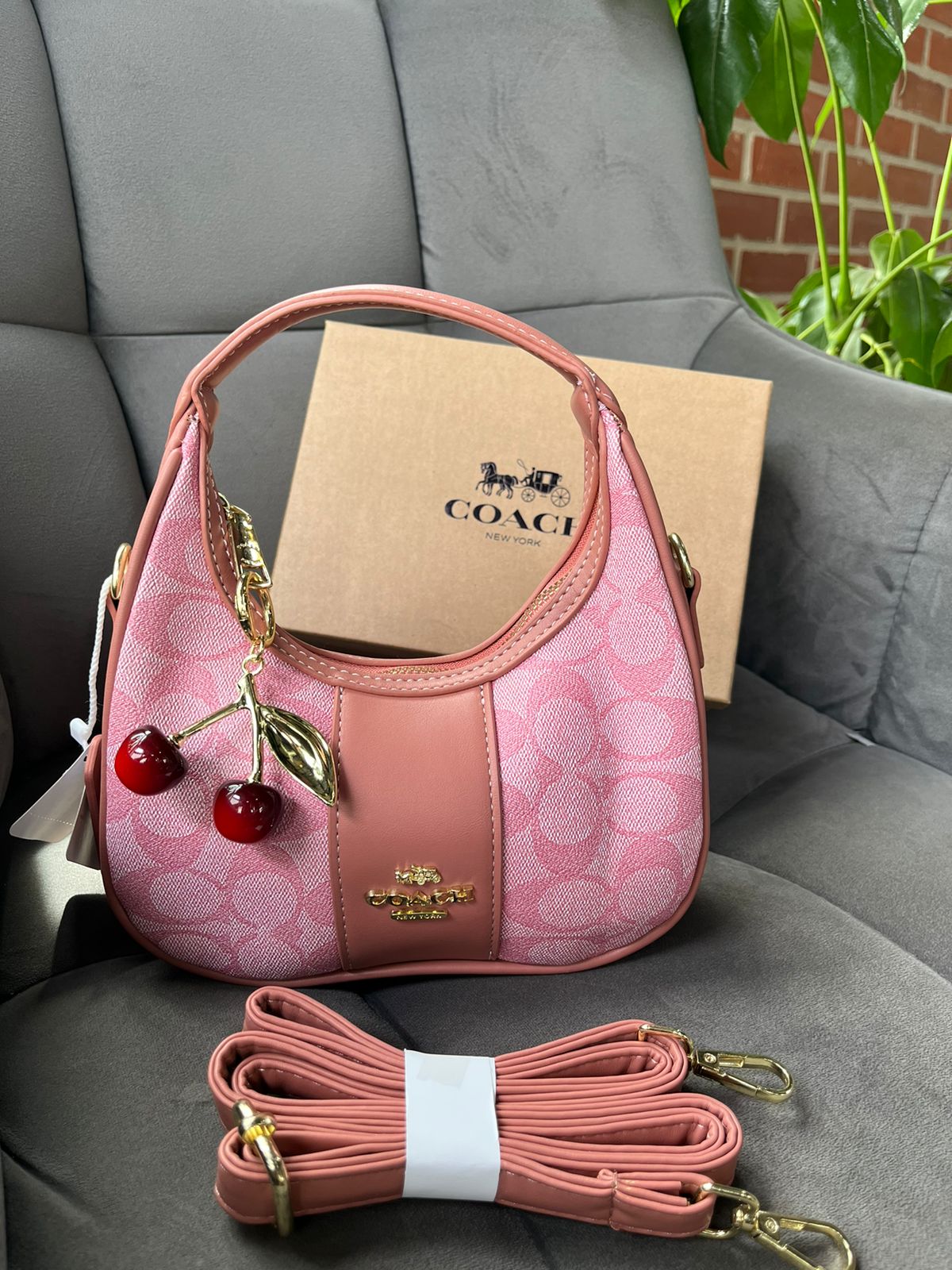 Media Luna Coach