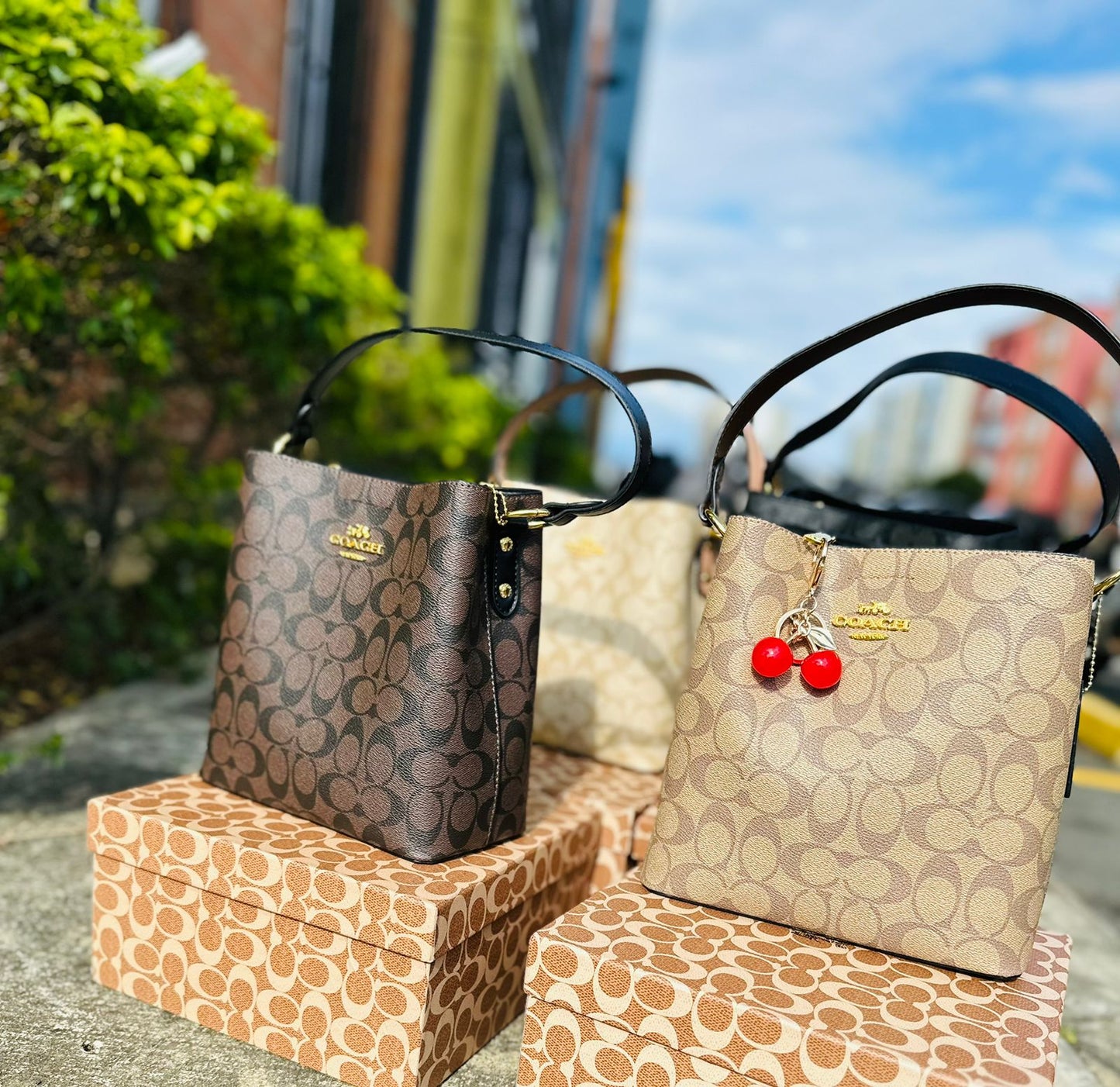 Tula Coach En caja y funda