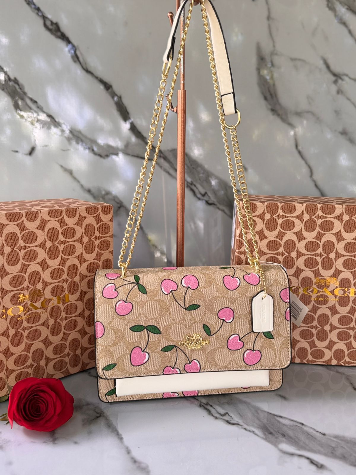 Bolso Coach con Bolsa y Tula 1:1