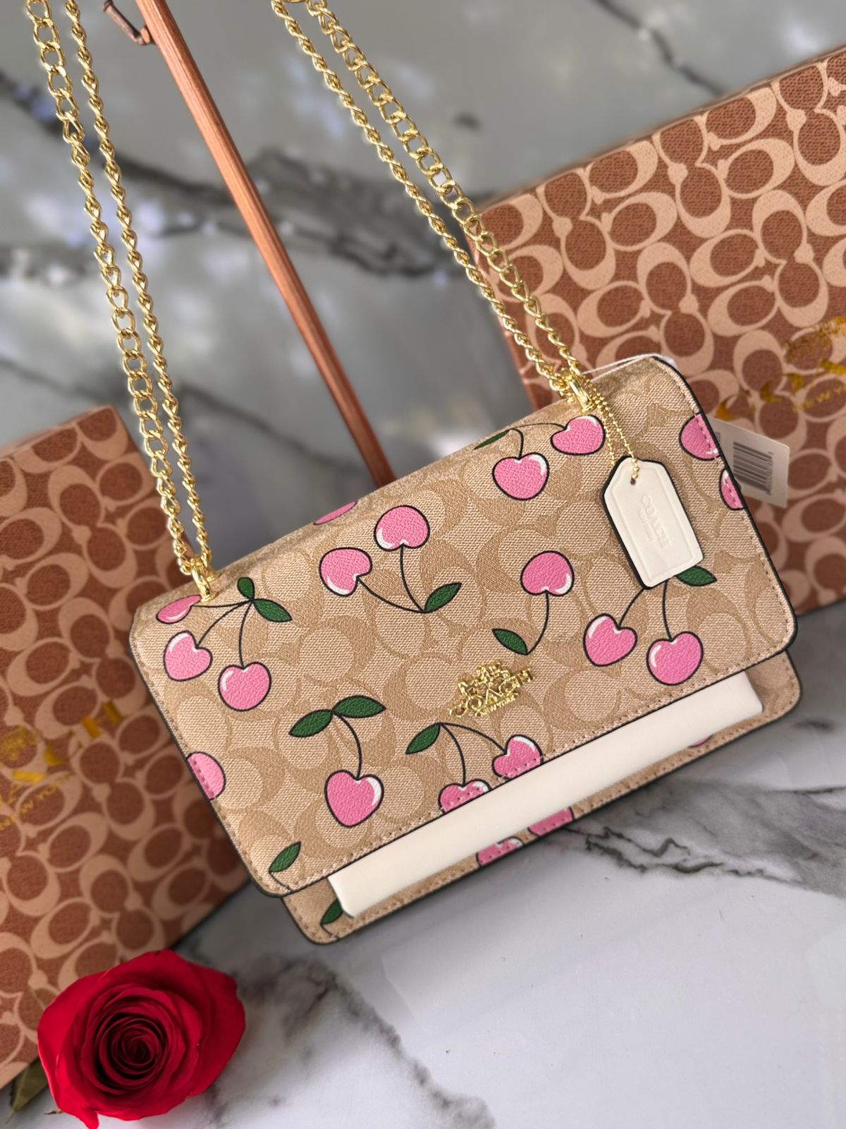 Bolso Coach con Bolsa y Tula 1:1