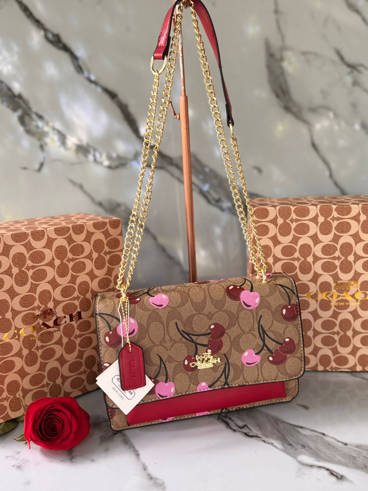 Bolso Coach con Bolsa y Tula 1:1